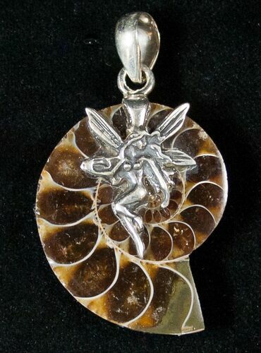 Fossil Ammonite Pendant - Sterling Silver #16790